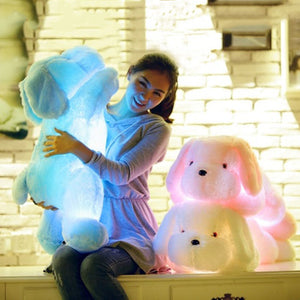 50CM Animal LED Dog Doll Stuff Toy Nightlight Plush